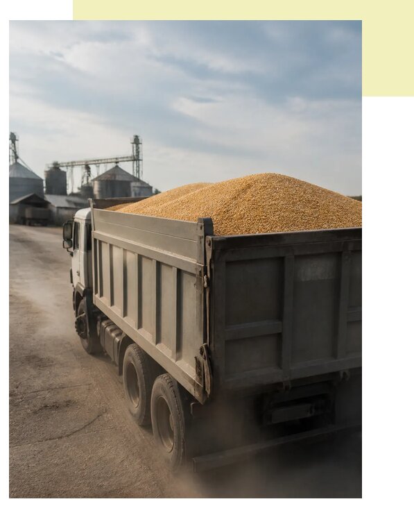 Перевозка сельхозпродукции навалом в Лабинск по цене от 3217 р. | Агросервис-Лбк